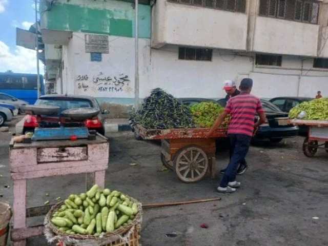 حملة مكبرة لرفع الإشغالات وتعديات الطريق بضواحي بورسعيد