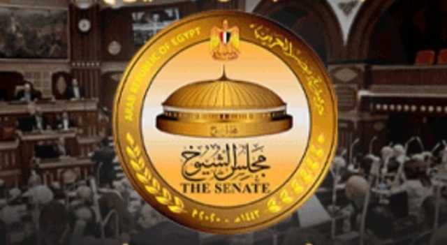 «الوطنية للانتخابات» تحدد قواعد تصويت الخارج وضوابط الدعاية في انتخابات الشيوخ