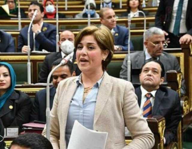 نائبة: الحكومة قدمت قانون لتنظيم العلاقة بين «المالك والمستأجر» يستند لإحصائيات غير دقيقة