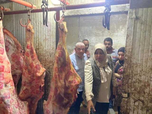 ضبط 5 أطنان لحوم حيوانات مريضة مذبوحة خارج المجازر بالمنوفية