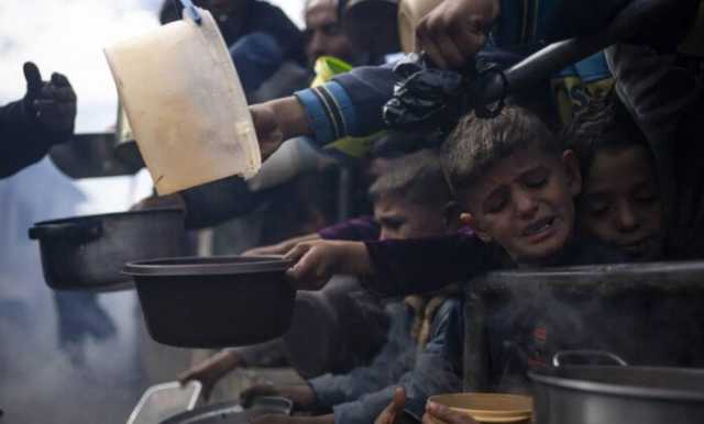 مصطفى بكري ينشر مقطعا مؤثرا لـ صرخات أطفال غزة الجياع.. ويعلق: أين الضمير الإنساني؟ أين العالم؟