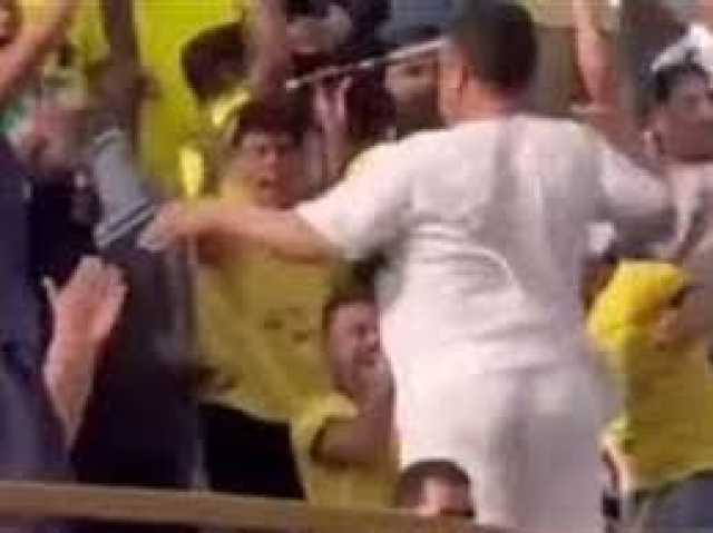 حكم قضائي ضد مشجع نادي مالية كفر الزيات بسبب الفعل الفاضح