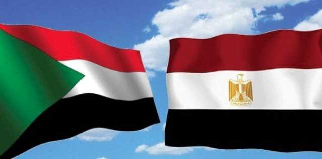 «مبادرة الدبلوماسية الشعبية» تثمّن الجهود المصرية السودانية لإعادة الاستقرار في السودان