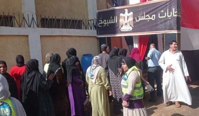 السيدات يتصدرن المشهد.. إقبال متوسط على لجان انتخابات الشيوخ في القليوبية
