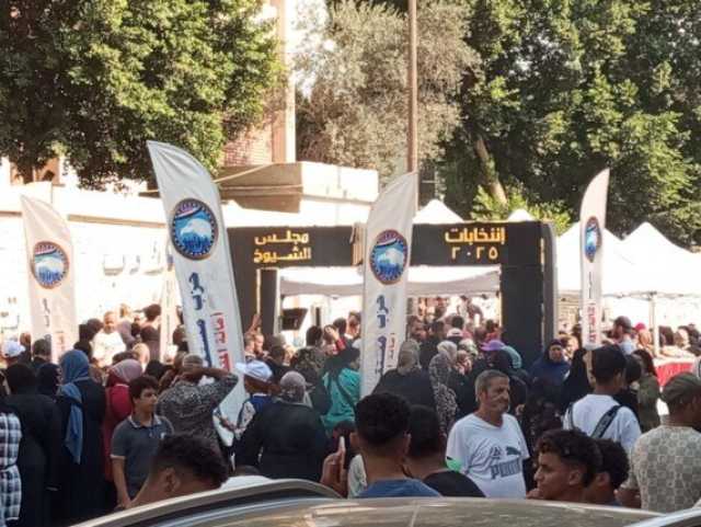 انتخابات الشيوخ 2025.. إقبال كثيف على لجان التصويت في المقطم