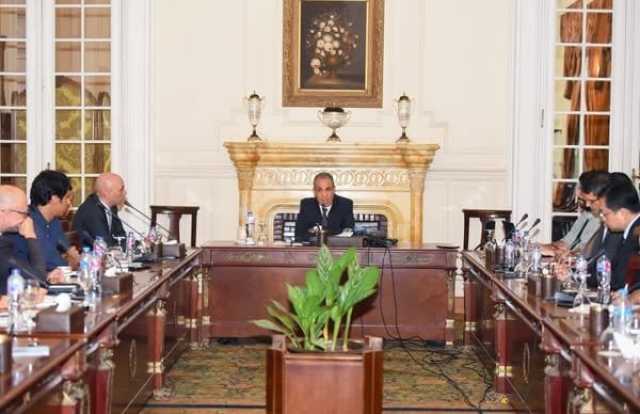 وزير الخارجية يستعرض محددات الموقف المصري من التطورات الإقليمية