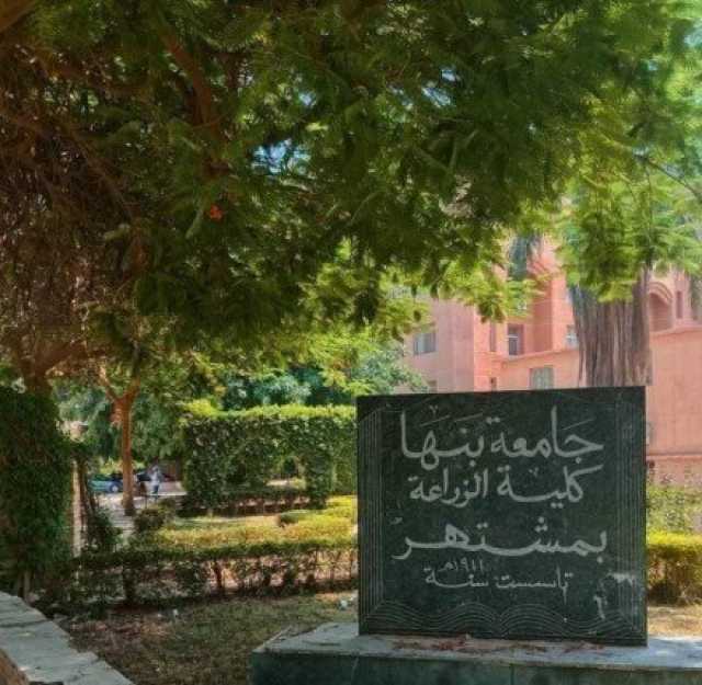 لمواكبة متطلبات سوق العمل.. 6 برامج دراسية متميزة باللغة الإنجليزية بزراعة بنها