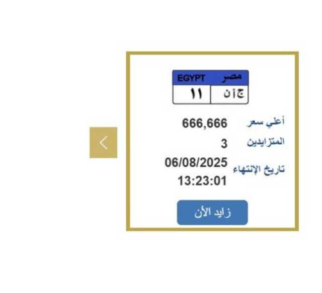 سعرها 666 ألف جنيه.. التزايد على لوحة سيارة مميزة ينتهي خلال ساعات