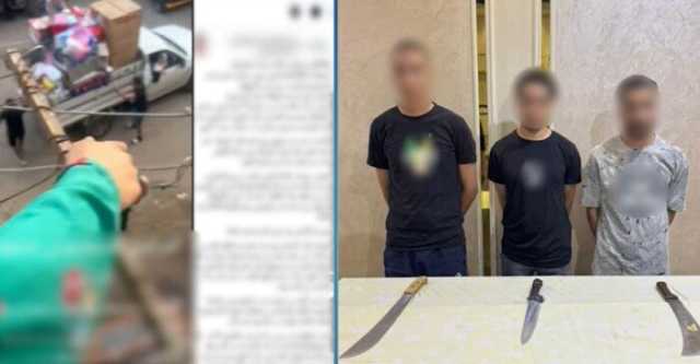 خلافات عائلية.. ملابسات فيديو تضرر سيدة من شقيق طليقها بالدقهلية