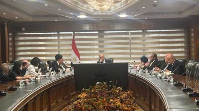 «وزير الطيران» يستعرض مع وفد مطار «إنتشون» الكوري فرص تعزيز الشراكات الدولية |صور