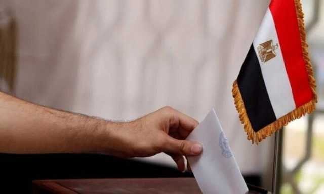 انتخابات الشيوخ.. سفير مصر بـ الدنمارك: توقعات بإقبال كبير على مقار التصويت
