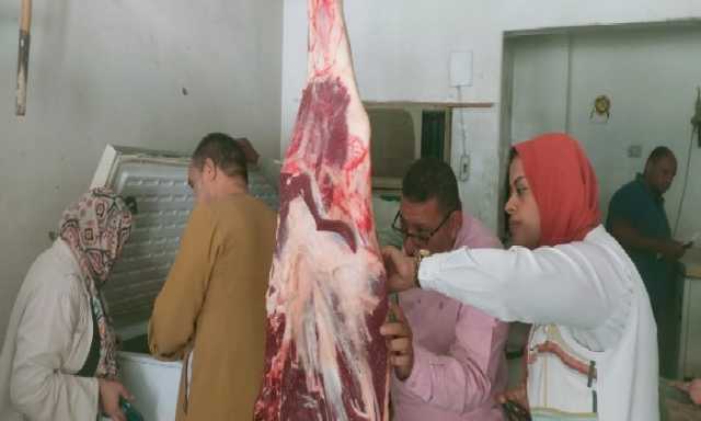 ضبط مصنعات لحوم ودواجن غير صالحة للاستهلاك الآدمي بالأقصر