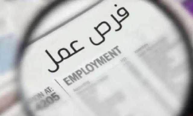 فرص عمل بالخارج مزيفة.. ضبط المتهمين بالنصب والاحتيال على المواطنين بالمنوفية
