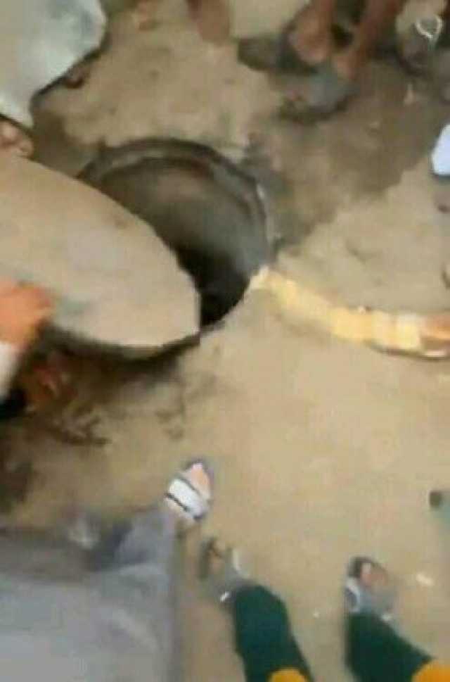 مصرع عامل وإصابة اثنين باختناق داخل غرفة صرف صحي بالمنيا