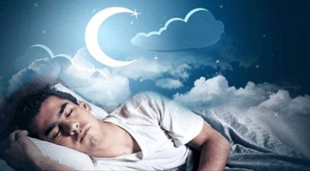 تفسير رؤيا «الحشرات» بالمنام لابن سيرين