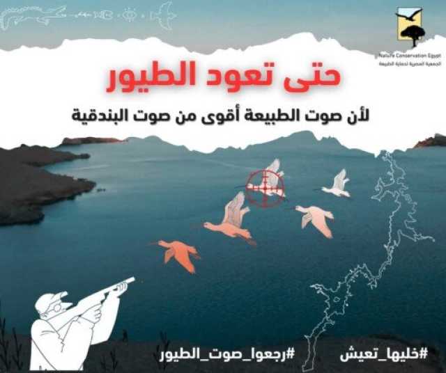 «حتى تعود الطيور».. صرخة من أجل حياة تُحلِّق في السماء