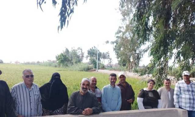 زراعة كفر الشيخ وتطلق ندوة إرشادية حول محصول الأرز بقلين