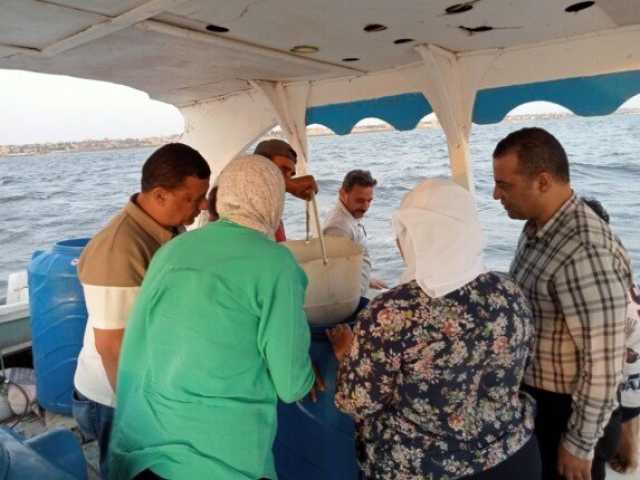 إطلاق الدفعة الثالثة من يرقات الجمبري في بحيرة قارون