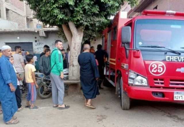 حريق يلتهم حظيرة ماشية بالمنوفية
