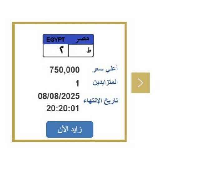 «وصلت لـ 750 ألف جنيه».. التزايد على لوحة سيارة مميزة
