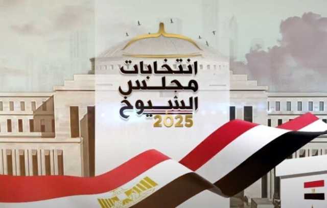 إقبال متزايد على لجان القاهرة بعد فترة الراحة ومتابعة دولية لسير العملية الانتخابية