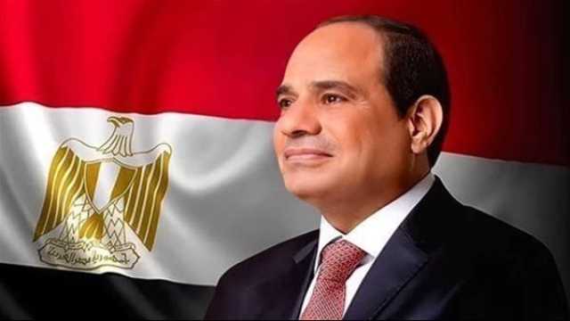 الرئيس السيسي: «الفيتو تحول لأداة لعزل مجلس الأمن الدولي عن الواقع الميداني»