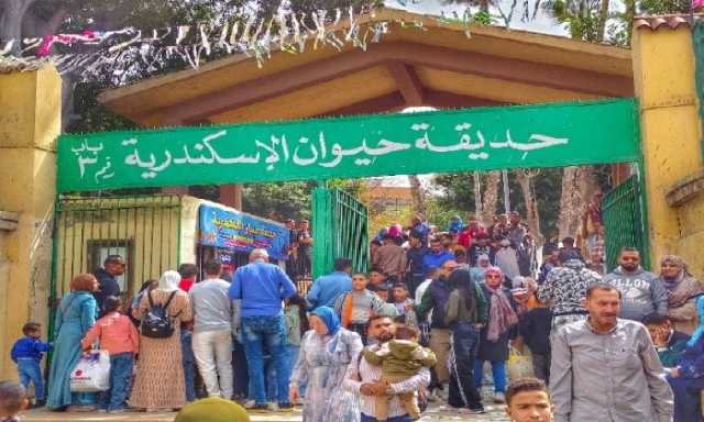 ضبط 18 حيوانًا مهددًا بالانقراض داخل كافيتريا بالإسكندرية