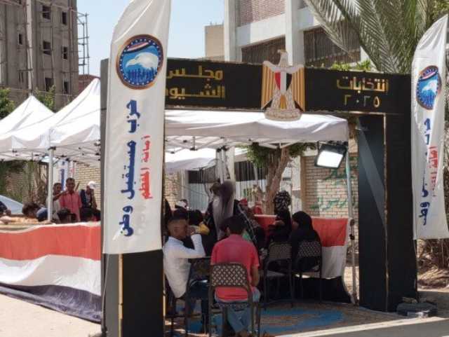 بعد استراحة مؤقتة.. استئناف عملية التصويت في انتخابات الشيوخ 2025 بالمقطم