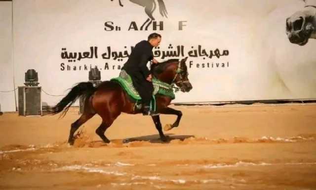 فتح باب التسجيل لبطولتي «أدب وجمال الخيل العربية» ضمن فعاليات مهرجان الشرقية