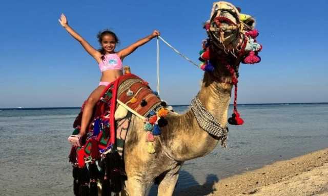 مطار مرسى علم يستقبل 183 رحلة طيران دولية السبت المقبل