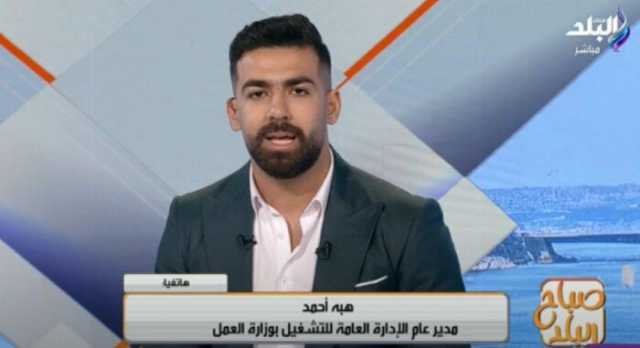 4000 فرصة بـ 8 محافظات.. «العمل» تكشف تفاصيل النشرة القومية للتوظيف