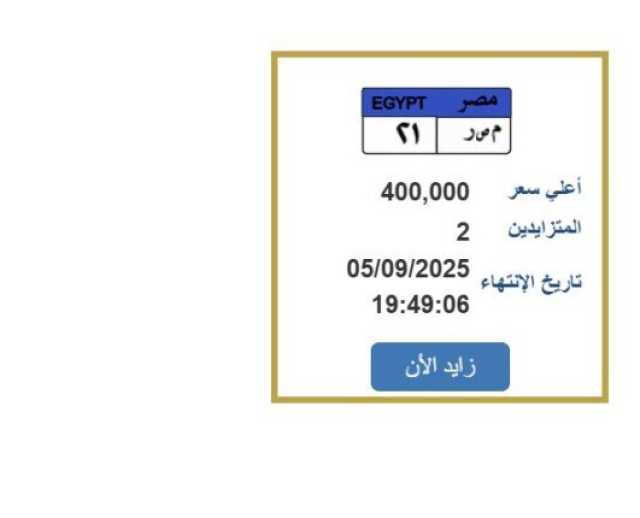 سعرها 400 ألف جنيه.. التزايد على لوحة سيارة مميزة| اعرف الخطوات