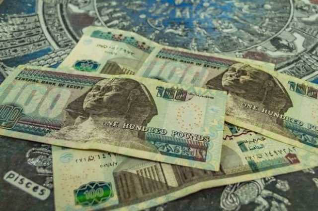 نمو إيرادات قناة السويس والاستثمار المباشر.. أبرز توقعات «فيتش» لمصر