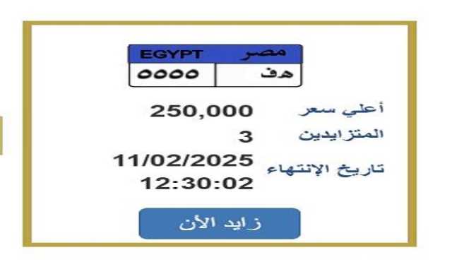 ربع مليون جنيه.. «المرور» تطرح التزايد على لوحة سيارة مميزة