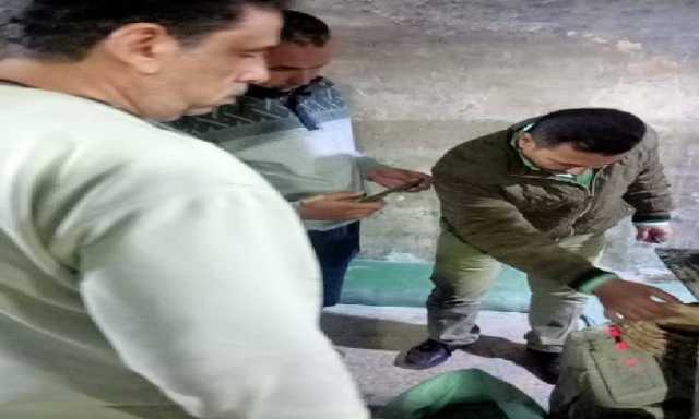 حملات تفتيشية مفاجئة على المخابز التموينية بمركز المحلة لضبط المتلاعبين