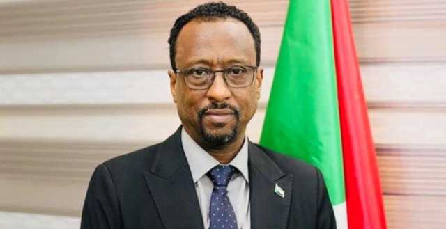 متحدث الحكومة السودانية: ممتنون لمصر على دعمها لنا في هذا الظرف التاريخي