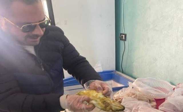 ضبط 77 كيلو فسيخ فاسد بشبرا الخيمة