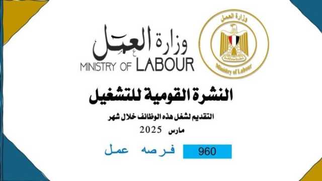 135 فرصة عمل جديدة براتب 9400.. العمل توفر وظائف جديدة (تفاصيل)