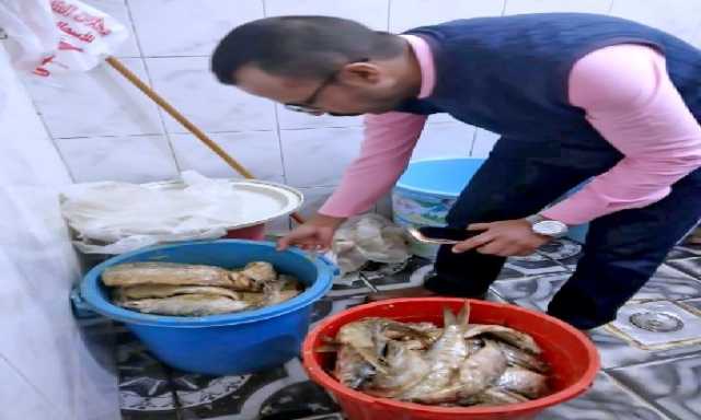 سوهاج تكثف حملاتها الرقابية قبل عيد الفطر: ضبط كميات كبيرة من الأسماك المملحة الفاسدة