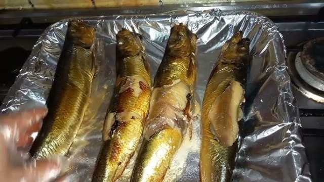 أسعار الفسيخ والرنجة في عيد الفطر 2025.. عروض جديدة لا تفوتها