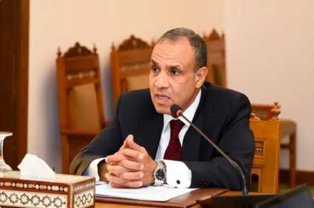 «وزير الخارجية»: يجب التوقف الكامل عن استهداف السفن وضمان حرية الملاحة الدولية