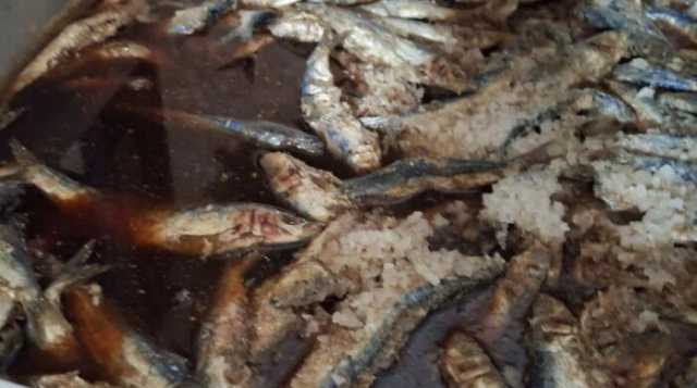 «قبل عيد الفطر».. ضبط 6 أطنان رنجة وفسيخ فاسد في الجيزة