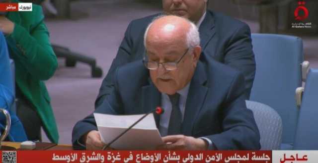 مندوب فلسطين بالأمم المتحدة: إسرائيل تسعى لتدمير المدنيين للسيطرة على أرضنا