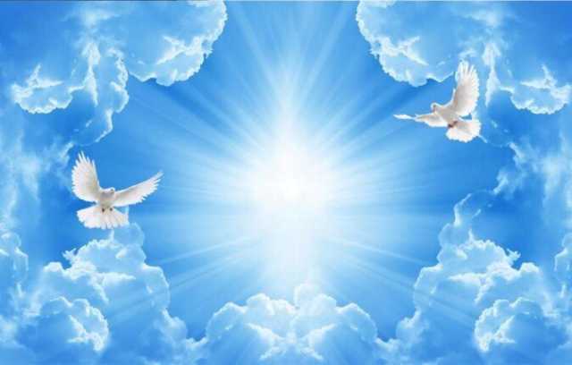 تفسير رؤيا «بابا في السماء يخرج منه طيرا» في المنام لابن سيرين