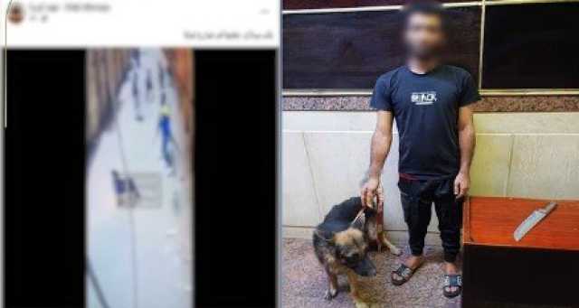 بحوزته «كلب».. ضبط عاطل مارس أعمال البلطجة في الجيزة