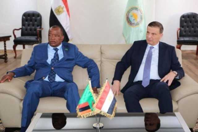 علاء فاروق ووزير الداخلية الزامبي يناقشان موقف المزارع المصرية المشتركة