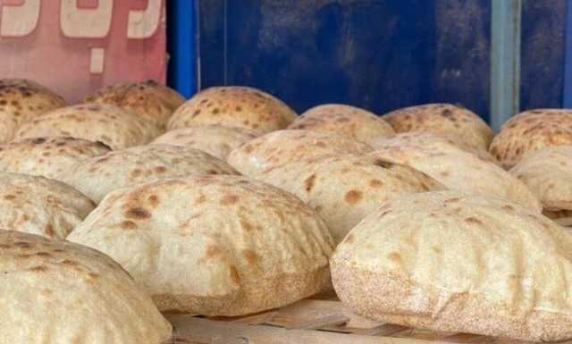 «مسؤول» يوضح تأثير زيادة أسعار السولار والبنزين على الخبز السياحي والفينو