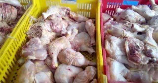 ضبط ربع طن دواجن غير صالحة للاستهلاك الآدمي بشبرا الخيمة
