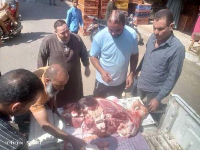 استغلال ودعم مهرب.. ضبط لحوم مذبوحة خارج المجازر ومواد بترولية في حملات مفاجئة بالمنيا