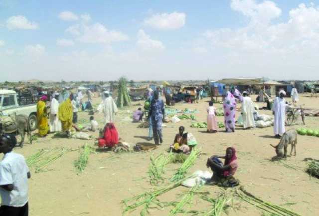 القاهرة الإخبارية: بعض السودانيين أكلوا علف الحيوانات وجلودها بسبب تدهور الأوضاع